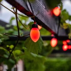 Lite Bulb Moments Lichterkette 50x Oval, 10m -Modegeschäft Für Heimbeleuchtung 10005012 2