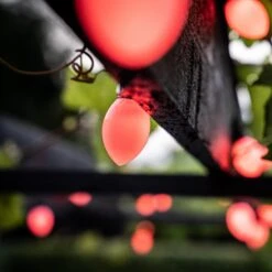 Lite Bulb Moments Lichterkette 50x Oval, 10m -Modegeschäft Für Heimbeleuchtung 10005012 3