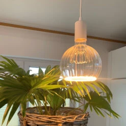 SEGULA LED-Floating G150 E27 4W Straight Gold -Modegeschäft Für Heimbeleuchtung 10010467 5