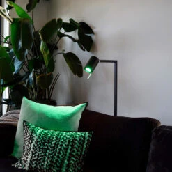 Calex Smart LED-Reflektor GU10 4,9W RGB CCT 2er -Modegeschäft Für Heimbeleuchtung 10011101 2