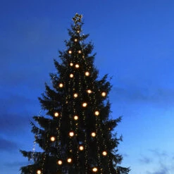 Erweiterungskabel Ring M. 5 Anschlüssen, System 24 7 Erweiterungskabel Ring M. 5 Anschlüssen, System 24 -Modegeschäft Für Heimbeleuchtung 1522150 3