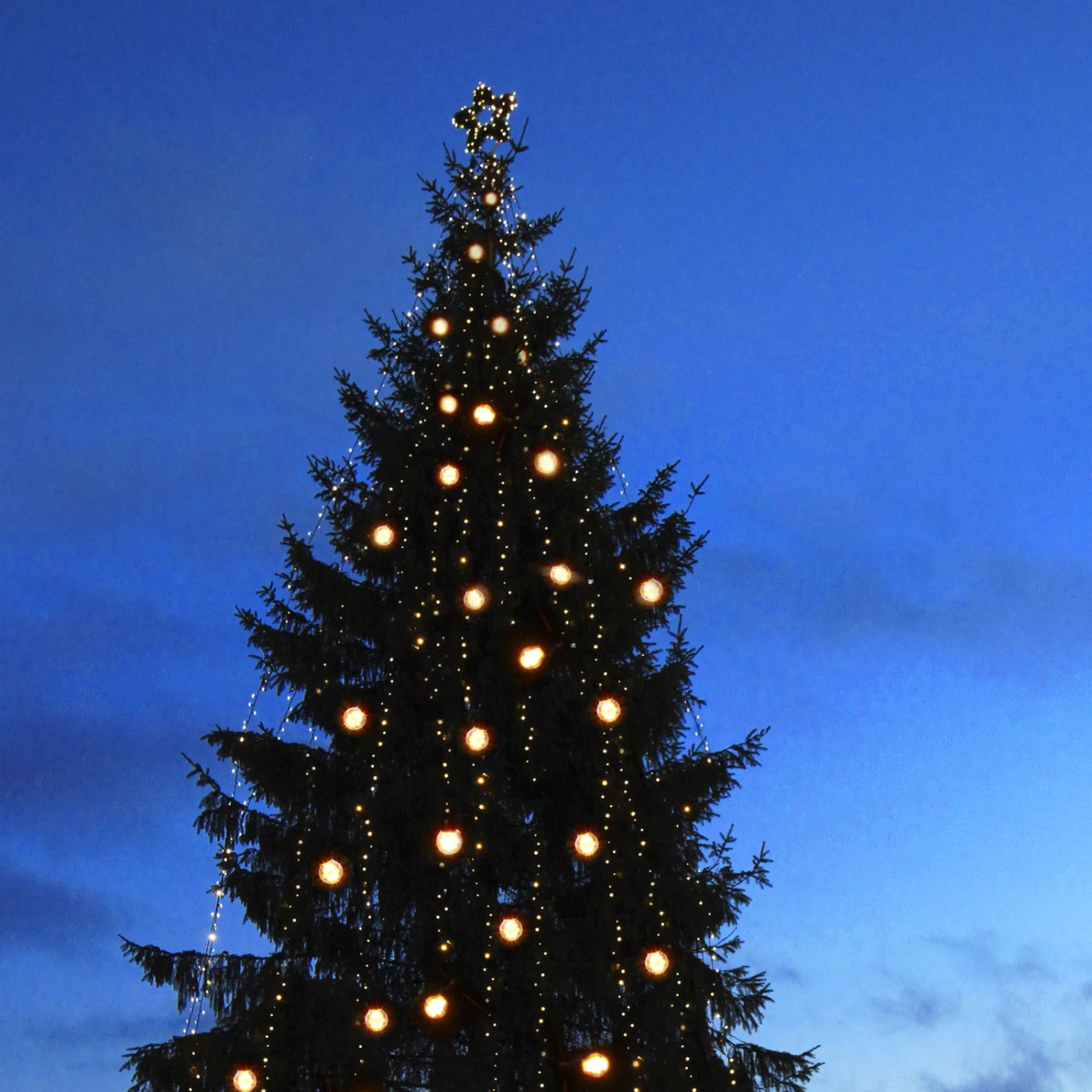 Erweiterungskabel Ring M. 5 Anschlüssen, System 24 4 Erweiterungskabel Ring M. 5 Anschlüssen, System 24 – Bild 4