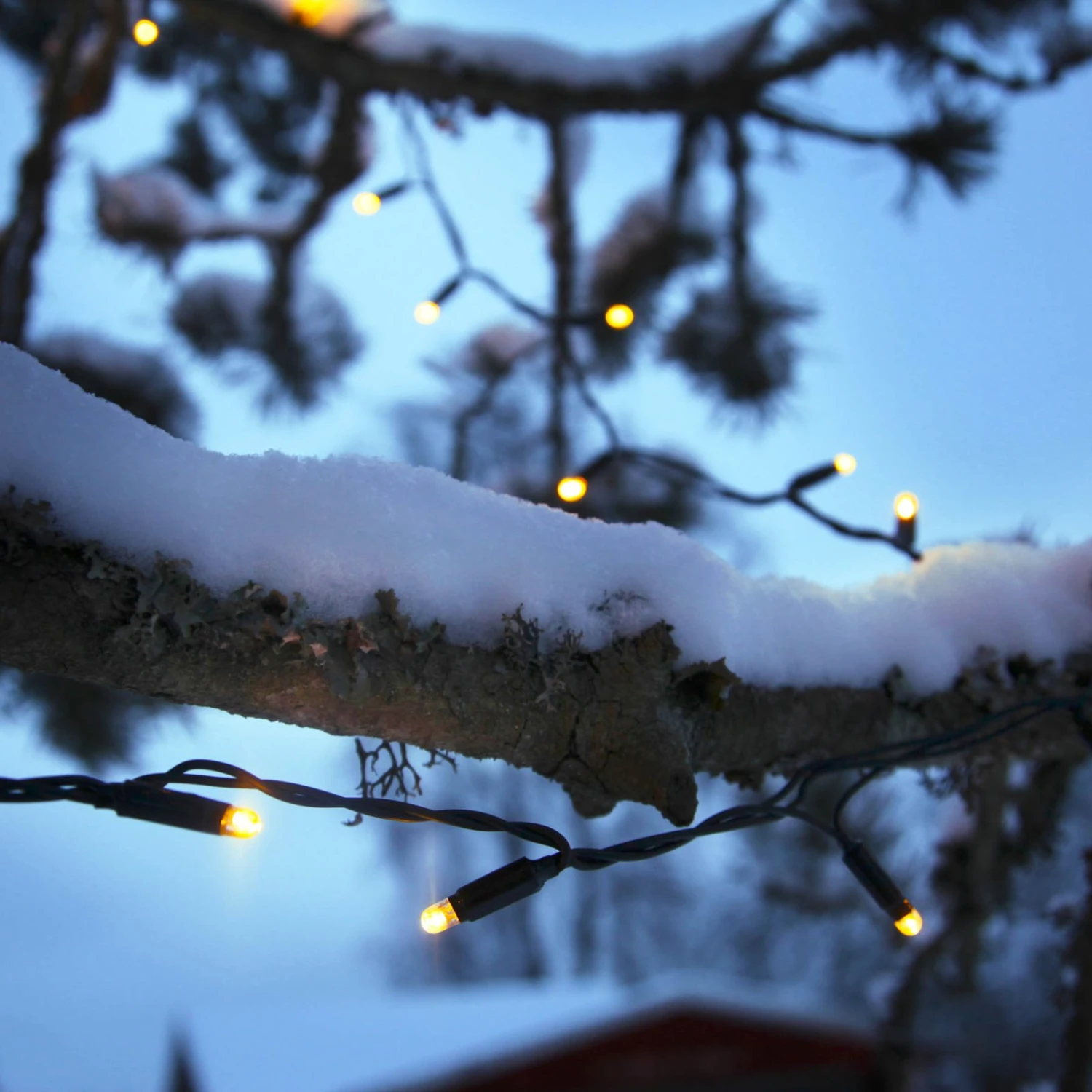 10m LED-Lichterkette Erweiterung System 24, Warmw 2 10m LED-Lichterkette Erweiterung System 24, Warmw – Bild 2