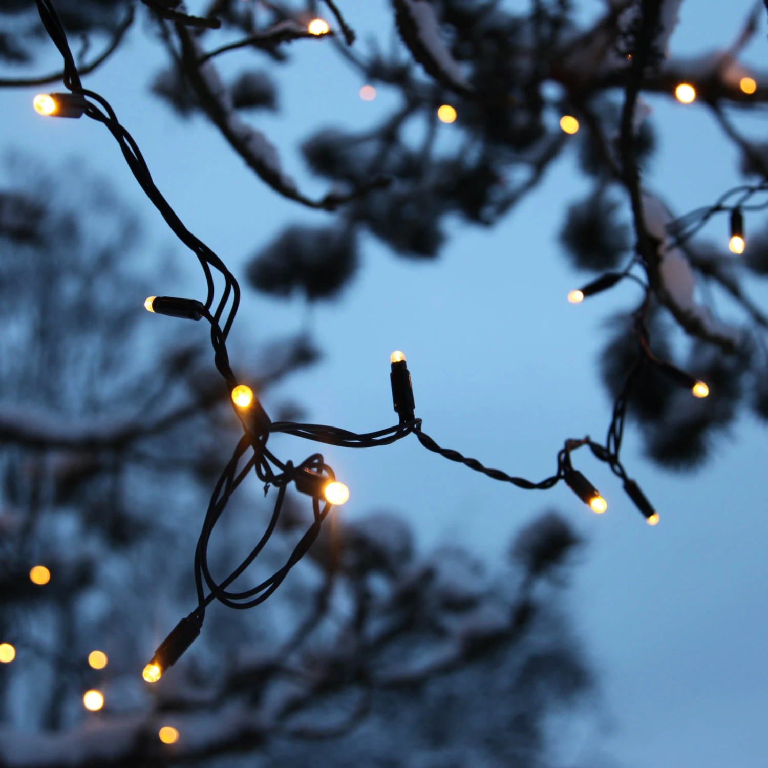 10m LED-Lichterkette Erweiterung System 24, Warmw 3 10m LED-Lichterkette Erweiterung System 24, Warmw – Bild 3