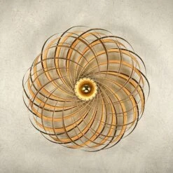 Gofurnit Veneria Wandleuchte, Olivesche, Ø 70 Cm -Modegeschäft Für Heimbeleuchtung 4027005 2