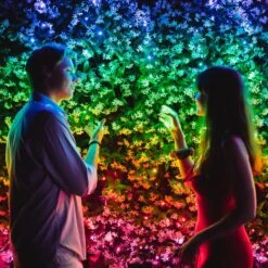 Lichterkette Twinkly RGB, Schwarz, 400-flammig 32m 14 Lichterkette Twinkly RGB, Schwarz, 400-flammig 32m -Modegeschäft Für Heimbeleuchtung 6102015 5