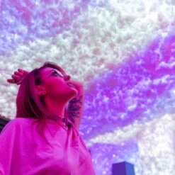 Lichterkette Twinkly RGB, Schwarz, 400-flammig 32m 16 Lichterkette Twinkly RGB, Schwarz, 400-flammig 32m -Modegeschäft Für Heimbeleuchtung 6102015 7