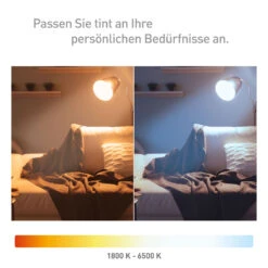 Müller Licht Tint LED-Globe G95 E27 5,5W Gold -Modegeschäft Für Heimbeleuchtung 6520423 5