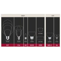 Paulmann LED-Reflektor E14 5,5W 2.700K 3er-Pack -Modegeschäft Für Heimbeleuchtung 7601960 4