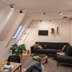 Paulmann Circle LED-Seilsystem 5fl. Schwarz Matt 17 Paulmann Circle LED-Seilsystem 5fl. Schwarz Matt -Modegeschäft Für Heimbeleuchtung 7602843 8