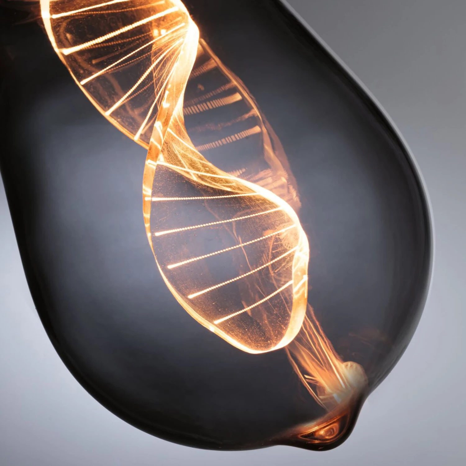 Paulmann LED-Lampe E27 3,5W Helix 1800K ST64 Rauch 3 Paulmann LED-Lampe E27 3,5W Helix 1800K ST64 Rauch – Bild 3